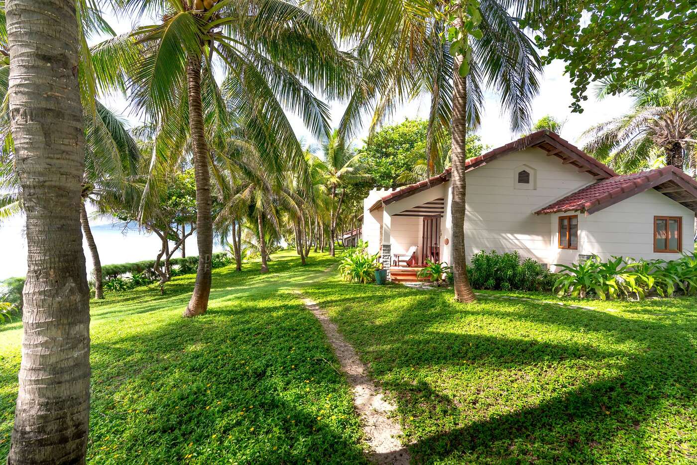 Low-rise beach cottages and sea grape along a barrier island street