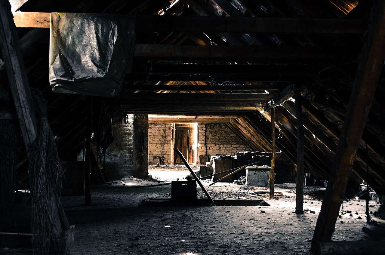 A dim attic corner with old debris where a carcass search starts