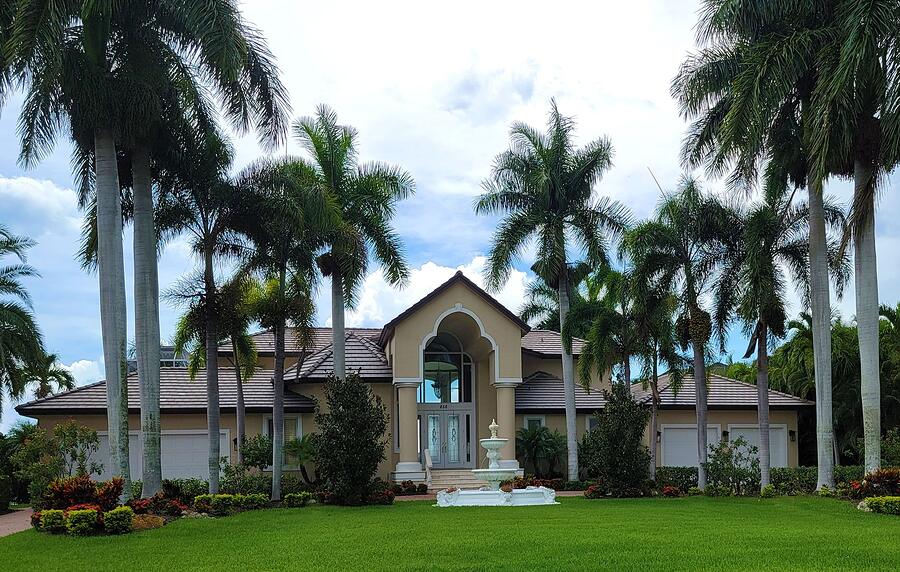 A street lined with royal palms in a gated community